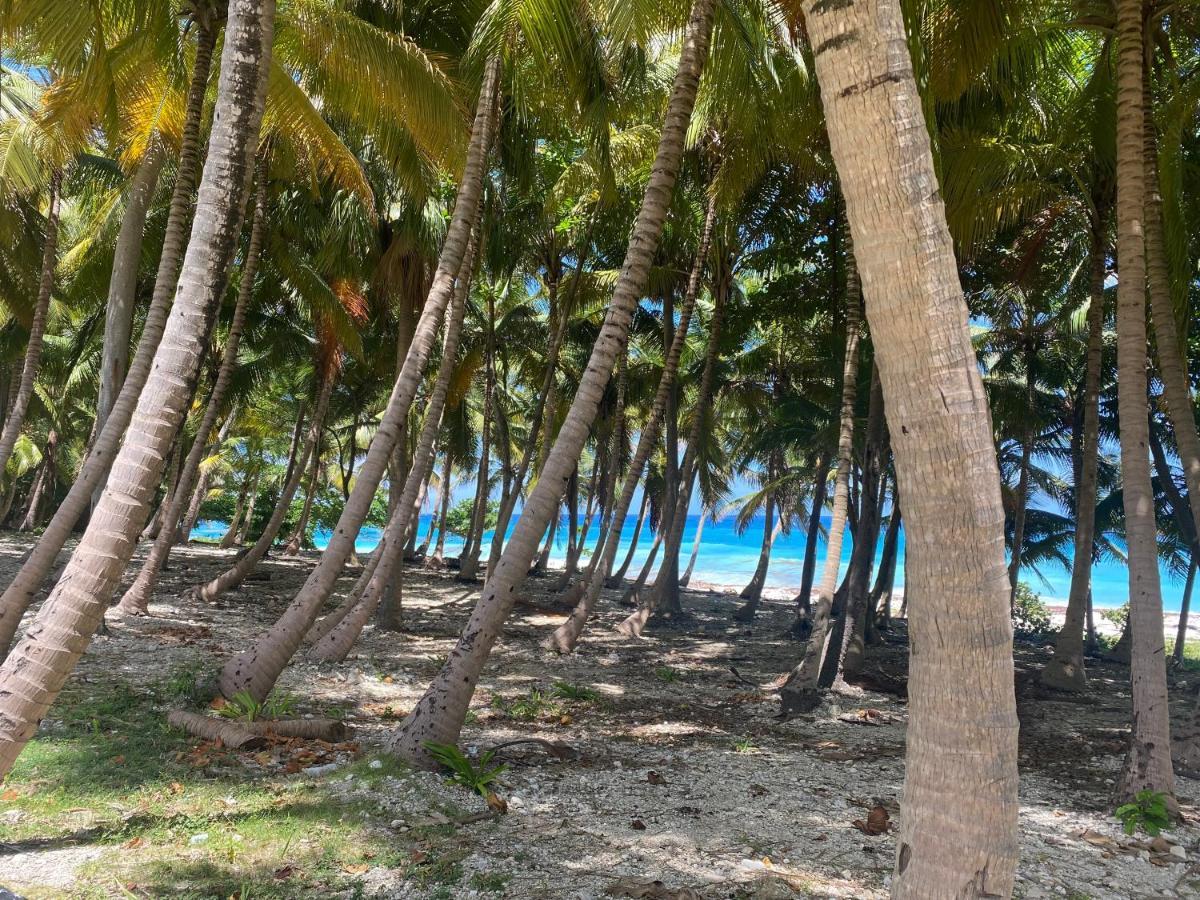 Beachfront Apartment, Quiet 4 Beds, 1 Bath, Ac, Wi-Fi, Hot Water, In Paraiso Near Los Patos Paraíso Exterior foto