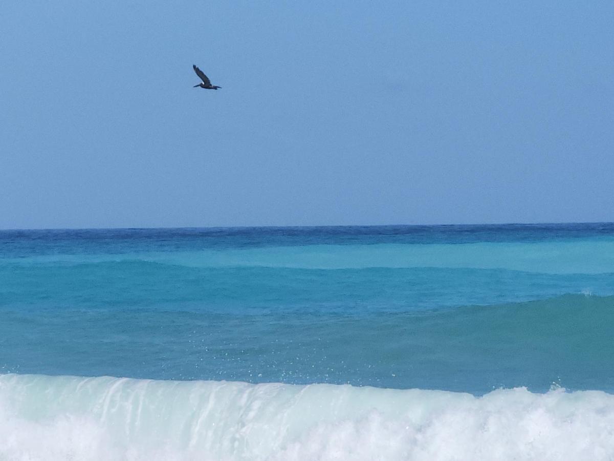 Beachfront Apartment, Quiet 4 Beds, 1 Bath, Ac, Wi-Fi, Hot Water, In Paraiso Near Los Patos Paraíso Exterior foto